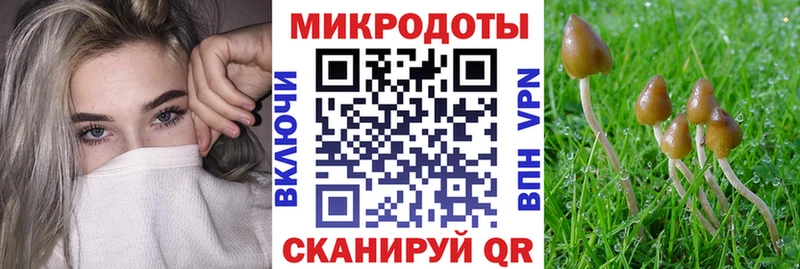 Псилоцибиновые грибы GOLDEN TEACHER  Солигалич 